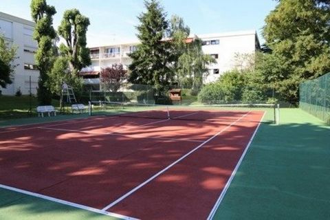 photo no. 11