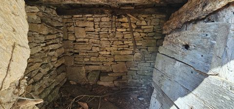 photo no. 12