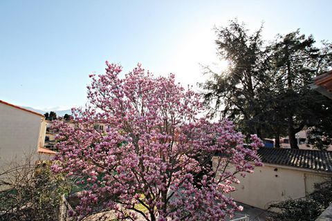 photo no. 17