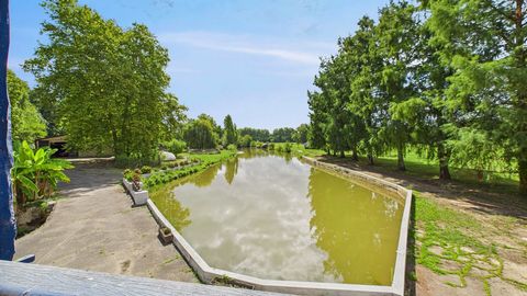 photo no. 13