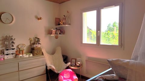 photo no. 11