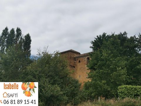 photo no. 9