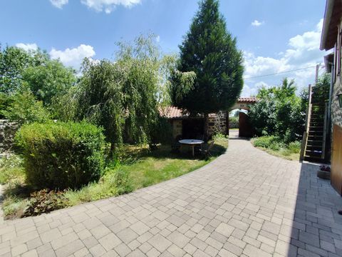 photo no. 1