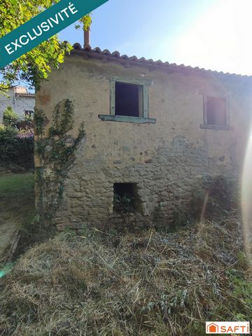 photo no. 3
