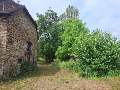 photo no. 3