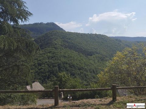 photo no. 10