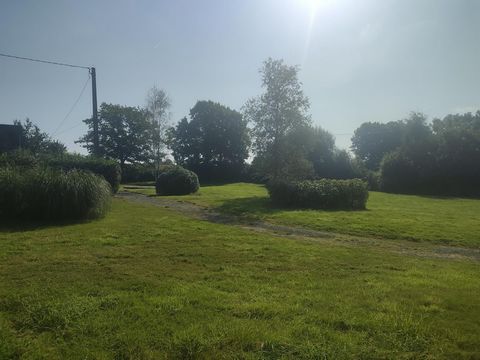 photo no. 5