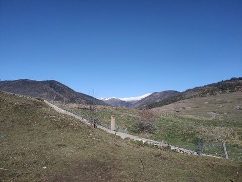 photo no. 14
