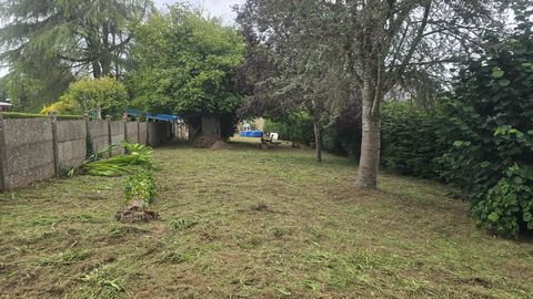 photo no. 12