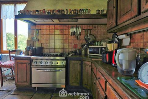 photo no. 11