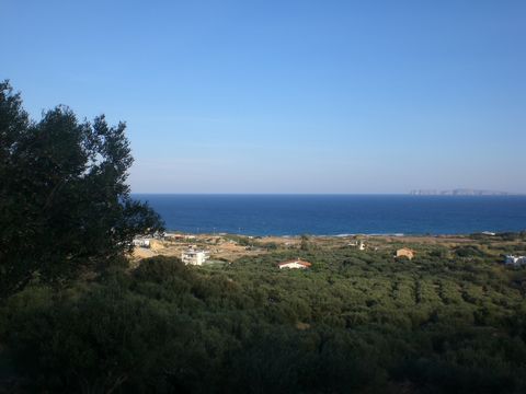 Roussa Ekklisia, Sitia: Perceel grond van 8300m2 met 150 olijfbomen. Dit perceel heeft een bouwrecht en een goede toegang. Het biedt uitzicht op de zee, de bergen en de stad Sitia. Er is elektriciteit en water in de buurt. Ten slotte is de afstand to...