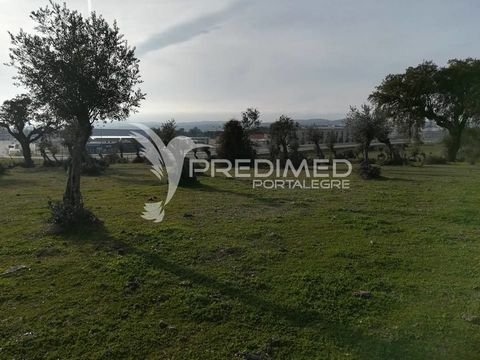 Land with 5ha in Cabaça Nova, next to the roundabout of the entrance of Portalegre (exit to Arronches). Within the PDM, with approval for urbanization. Good location.  
