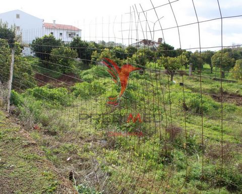 Urban land with 2450m2. Possibility of construction of 6 villas or farm. It currently presents itself with a small orchard of orange and walnut trees. This land is attached to a tar road with 100m of front. It meets the following infrastructures: wat...