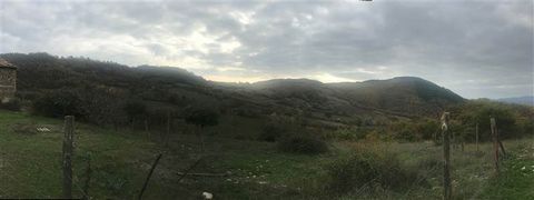 GUBBIO (PG): Farm of about 65 Ha with dwelling to be restored composed of: * 35.5 Ha approx. forest; * 14 Ha about pasture land; * 14 Ha about arable land on level ground; * 1.5 Ha about olive grove with 90 secular trees in production. * House to be ...