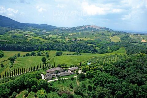 SAN GIMIGNANO (SI): Agricultural estate with 22 hectares of land, consisting of three buildings: * 11 hectares of vineyards, including 4 hectares of Chianti and 7 hectares of IGT, planted in regular rows and in full production; * 1.5 hectares of oliv...