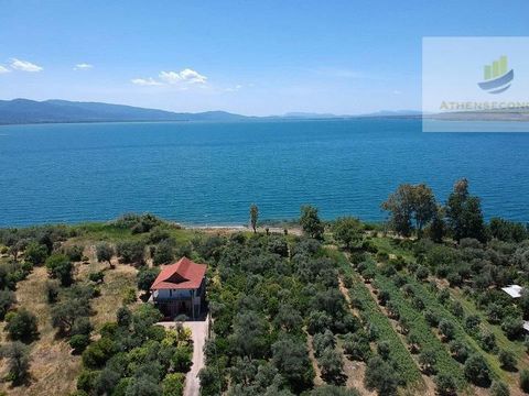 For sale a plot of land 3.184 sq.m. in Myrtia, Thermo, in front of biggest lake of Greece – Trichonida. The plot has a connection to water and electricity. Permission for private buildings 800 sq.m., for commercial buildings 1000 sq.m. Price 135.000 ...