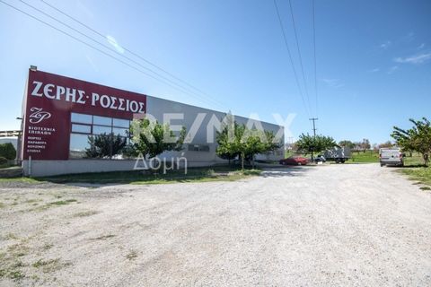Property Code: 9032-9537 - Small industrial Space FOR SALE in Aisonia Sesklo for €400.000 Exclusivity. This 620 sq. m. Small industrial Space is on the Ground floor and features . The property also boasts unobstructed view, . The building was constru...