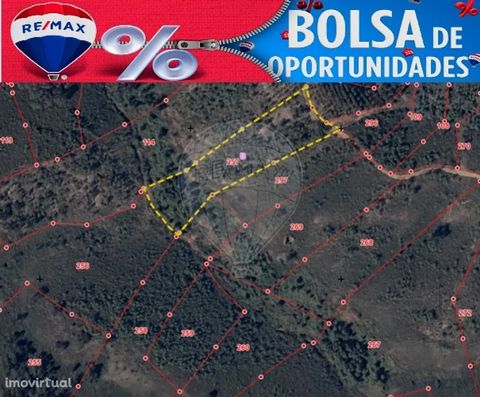 Rustic land with 6,660 m2, consisting of forest, sterile land, citrus orchard, pine forest and rural construction with 16 m2. Located in Vale Grande, Ortiga, municipality of Mação. Area with stunning natural landscapes and several river beaches. Do n...