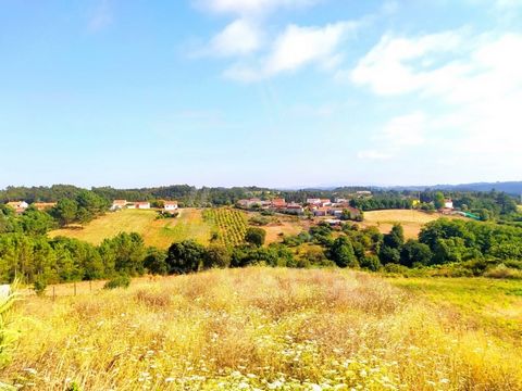 Magnífica parcela de terreno en el hermoso pueblo de Salir de Matos, Casal Vale Souto en Silver Coast para la construcción de 1 villa. * Superficie de parcela de aprox. 2750m² con posibilidad de construir hasta 350m². * excelente disposición solar, S...