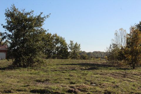 photo no. 4
