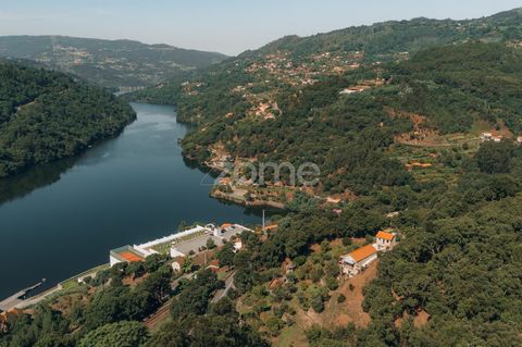 Objekt-Nr.: ZMPT568623 Grundstück am Ufer des Douro mit 1227m² für den Bau einer Villa Dieses Grundstück bietet nicht nur die Möglichkeit, eine Villa mit unvergleichlicher Aussicht zu bauen, sondern auch die Möglichkeit, in einer der schönsten und be...