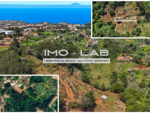 Come and discover this large 26.180 square meter property located in the picturesque region of Santana, Madeira Island. It offers a unique investment opportunity. Set in the lush landscapes for which Madeira is famous, the land has a well-maintained ...