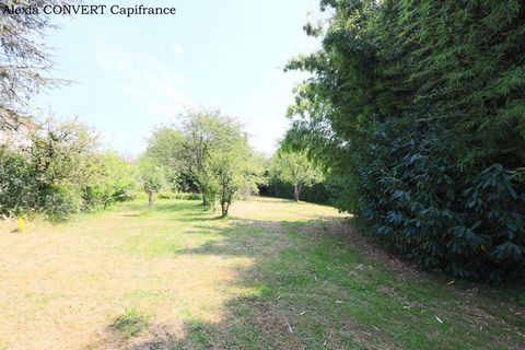 photo no. 2
