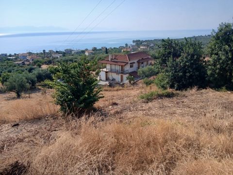 Petalidi, Kastania, Agricultural Land For Sale, Out of City plans, 7.911 sq.m., Features: For development, Price Negotiable, For Investment, Roadside, Three Fronted, Amphitheatrical, Sloping, Flat, For tourist use, Suitable for agricultural use, Agri...