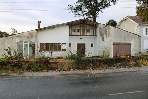 photo no. 2