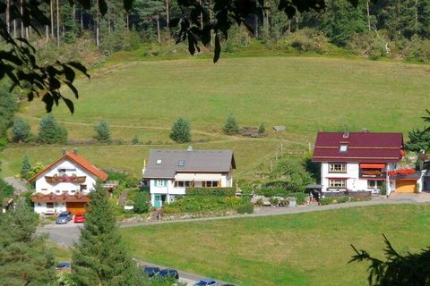 Unser kleines Ferienparadies, die Ferienwohnung Talblick ist mit 5 Sternen ausgezeichnet. Die Ferienwohnung Talblick im Ferienhaus Schenk haben wir im gemütlichen Schwarzwälder Landhaus Stil wunderschön und großzügig eingerichtet. Mit hellen Fichtenh...