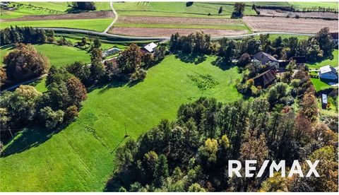 Wij bemiddelen bij de verkoop van een uniek toeristisch investeringsobject in een prachtige natuur tussen het Kozjansko Regional Park en het Boč - Donačka Gora Landscape Park. Dit toeristische complex is een uitstekende gelegenheid voor diegenen die ...