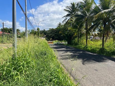 Votre agence Côté Particuliers vous propose à la vente un terrain à bâtir situé à Baie-Mahault, dans la section Gossain. Ce terrain de 1 700 m2 comprend une partie constructible, le reste en zone agricole et naturelle. Emplacement privilégié : Ce ter...