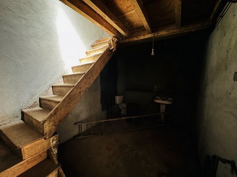 photo no. 8