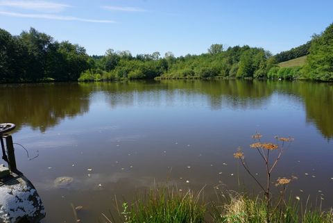 A 20 minutes de Paray le Monial, proche Digoin et Gueugnon, 2h30 de Lyon, belle propriété en campagne avec garnd terrain de presque 4 hectares avec cour, jardin, pré et étang. La maison d'habitation offre une surface d'environ 90 m2 avec en rez-de-ch...