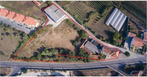 Descripción Excelente propiedad para INVERSIÓN, compuesta por: 1 - Casa de dos plantas y ocho habitaciones, destinada a comercio y vivienda y dependencia, con una superficie de 153m²; 2 - Casa de planta baja, de una sola planta y amplia, Superficie 7...