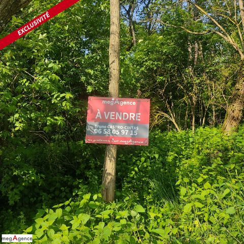 Se joli terrain boisé situé a Poilly-Lez-Gien en limite de la Fontaine Berton vous ravira de par sa situation au calme et retirée en lisière de foret Ce terrain d'environ de 11002 M2(non constructible). En partie boisée de chênes , de noyers , de rés...