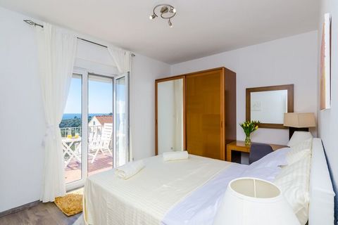 Apartments Knego are situated in Mlini, a lovely village near historic Dubrovnik. Mlini is a small, idyllic fishing settlement located halfway between Dubrovnik and Cavtat with intact beauty, rich vegetation and stunning beaches as well as historical...