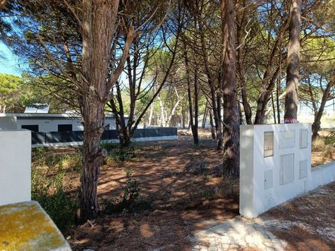 Lote de Terreno na Lagoa de Albufeira – 415m² Excelente oportunidade de investimento! Se procura um refúgio junto à natureza, este lote de terreno na Lagoa de Albufeira é perfeito para si. Com 415m² , este terreno plano oferece espaço ideal para cons...