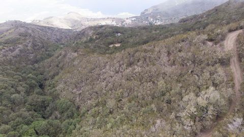 Si vous souhaitez avoir votre propre coin, loin du bruit quotidien et où vous pourrez vous déconnecter, laissez-moi vous présenter ce grand terrain rustique situé dans la commune de Los Silos. Ce terrain avec vue sur la côte de Buenavista est situé e...