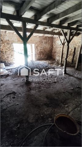 photo no. 12