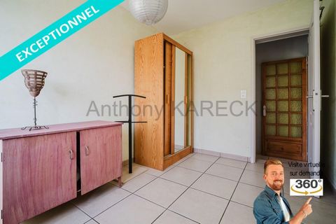 photo no. 15