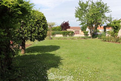 photo no. 4