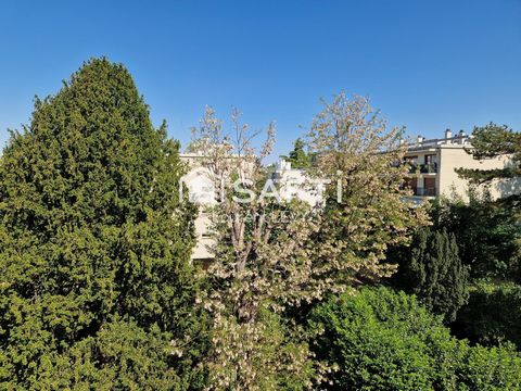 photo no. 10