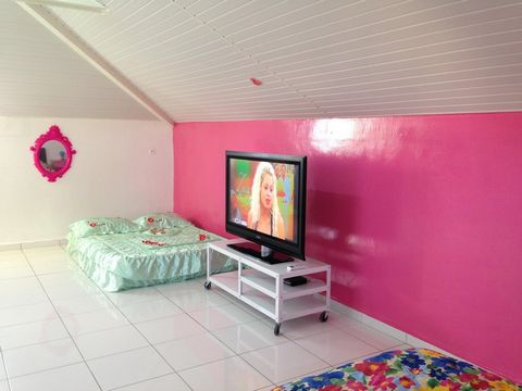 photo no. 2