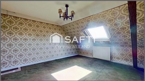 photo no. 11
