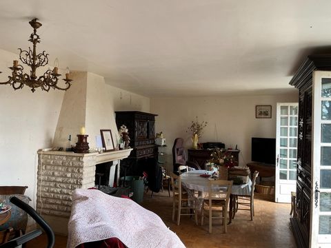 photo no. 2