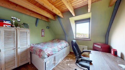 photo no. 11