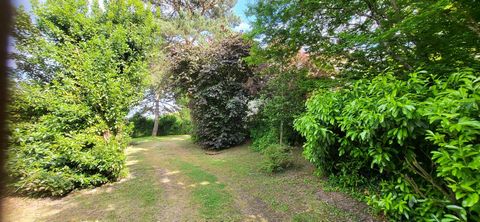 photo no. 14