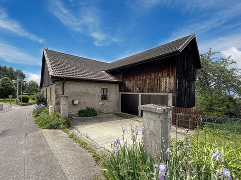 Maison à vendre 5 pièces, 153 m3 habitables et 263 m2 de surface totale, LUCINGES (74), Terrain de 3100 m2