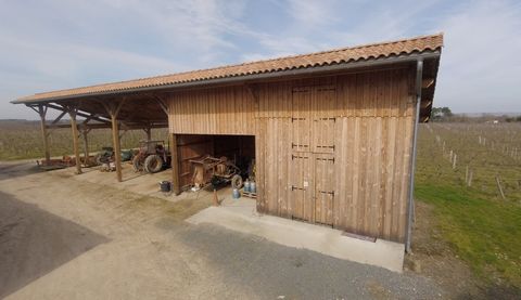 photo no. 2